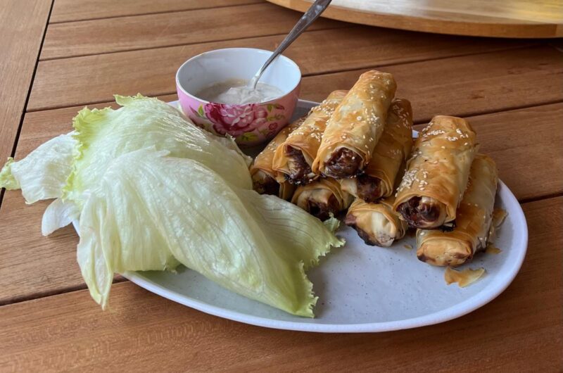 אגרול ירקות וחזה עוף